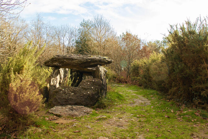ST-JUST---Dolmen-de-Treal--bauthamy-madoline--1--2.jpg