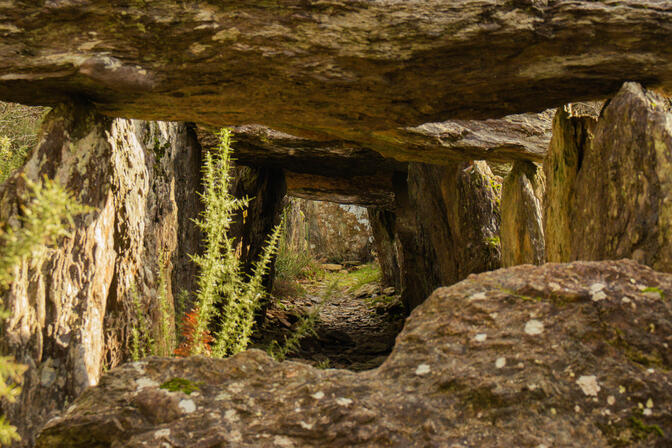 ST-JUST---Dolmen-de-Treal--bauthamy-madoline--2-.jpg