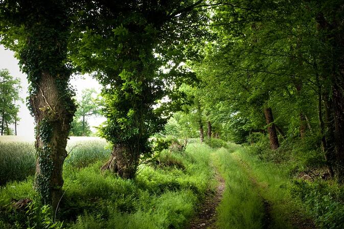Paysage-Pays-d-Antrain-stenphoto.fr.jpg