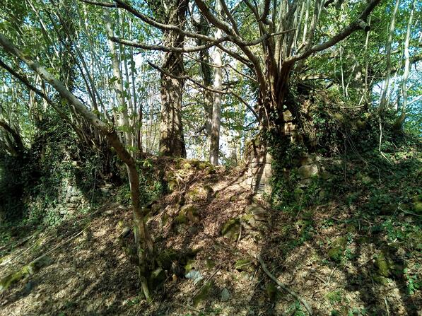 IMG-20170419-100519-2.jpg