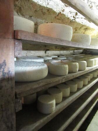 Fromages-4-2.JPG