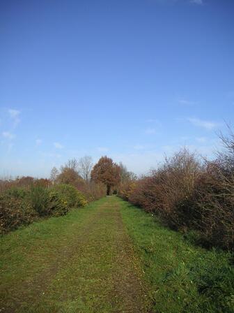 PR-67-ancienne-voie.jpg