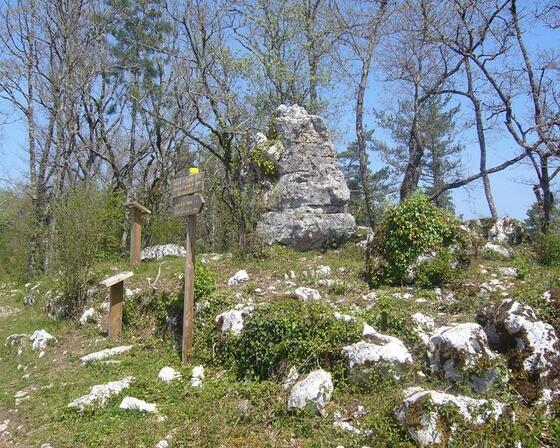 Lannemary-Roi-des-choses-2.jpg
