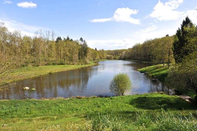 Etangs-des-Merles.jpg