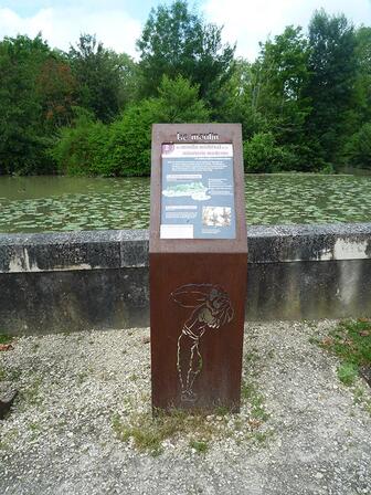 eymet-batisseurs-moulin.jpg