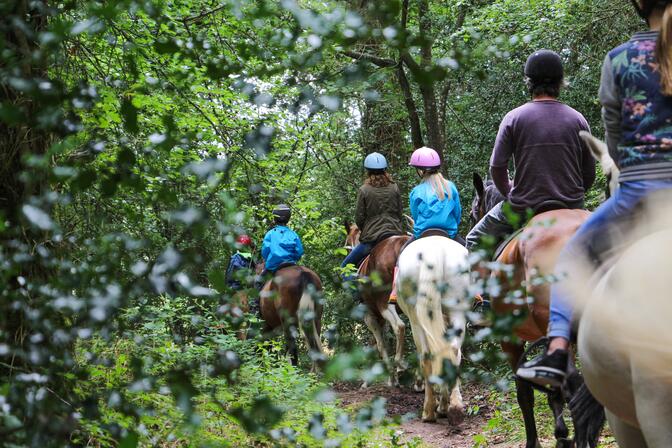 Centre-equestre-du-lac-de-Tremelin--office-de-tourisme-du-pays-de-Montfort--27--3-2.jpg