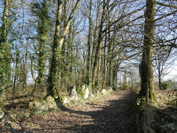 Chemin-empierre-Montautour.JPG