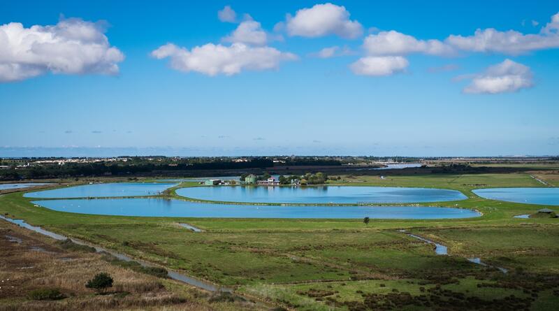 -station-lagunage-rochefort-rochefort-ocean © LPO (3).JPG