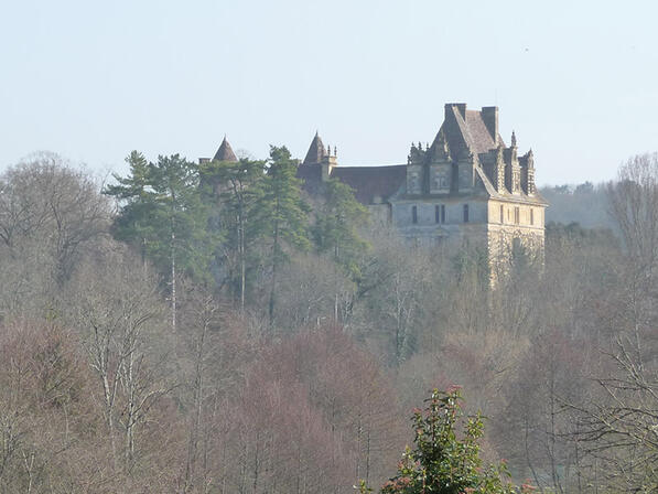 chateau-de-lanquais4.JPG