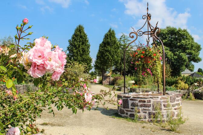 Jardin-medieval-Bedee-4.jpg