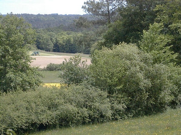 st-georges-blancaneix-foret.jpg