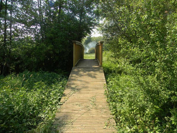 ITI72-la-passerelle-des-vallees-voivres.jpg