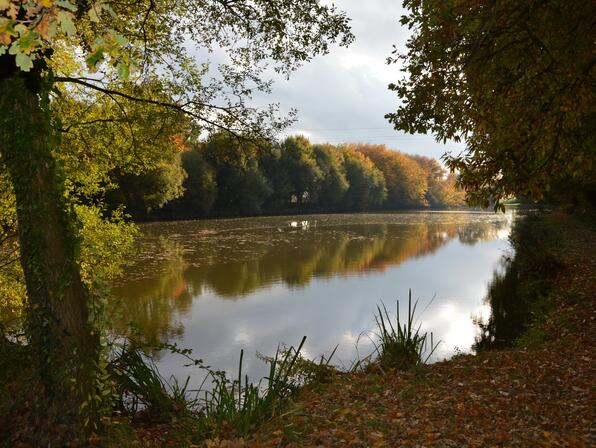 Sur-les-chemins-de-randonnee-louvigneens-etang-de-la-Touche.jpg