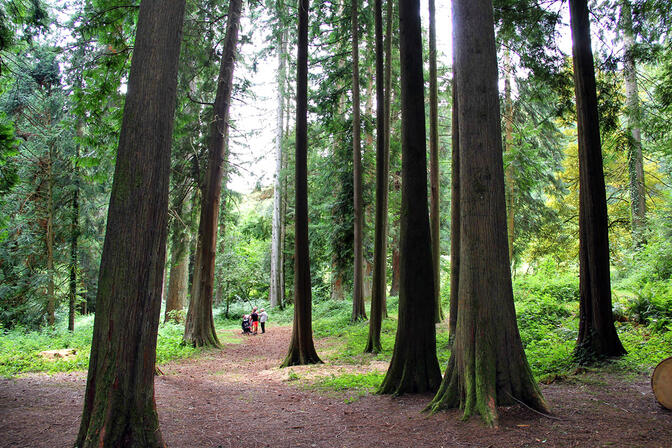 LA-JONCHERE-Arboretum-SIT-3----CBC-2.jpg
