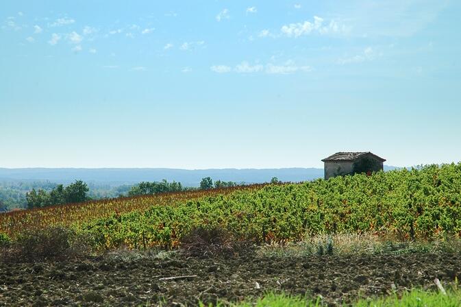 Cabane-sud-pylone.jpg