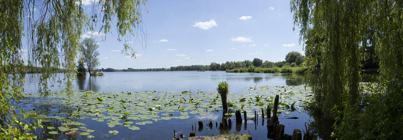 1483407_pedalo_chabaud_latour_condejpg.jpg