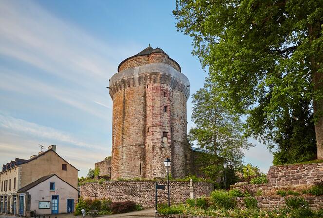 Tour-Papegaut-Credit-Photo-Alexandre-Lamoureux.JPG