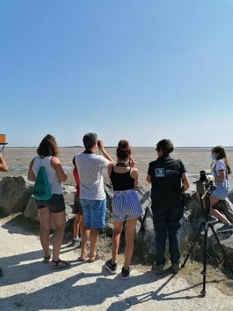 rochefort-ocean-fouras-baie-yves©LPO.jpg