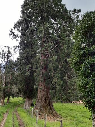 20210429-151824---copie-2.jpg