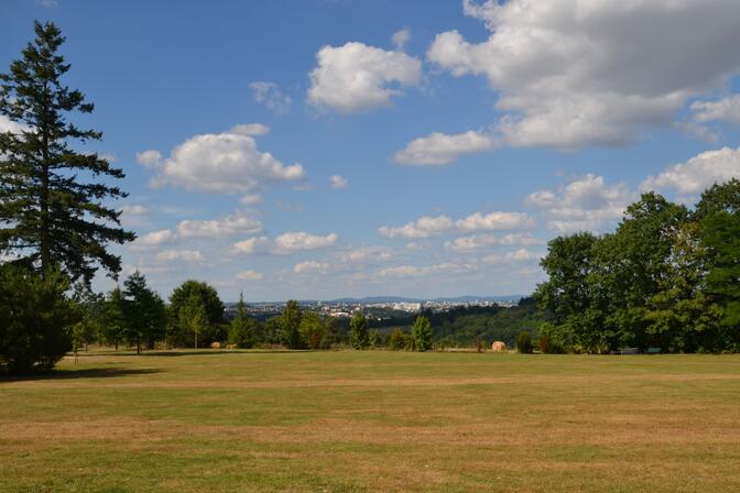 DSC-0208-6.JPG