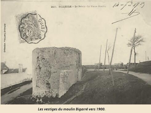 vestige bigarré.jpg
