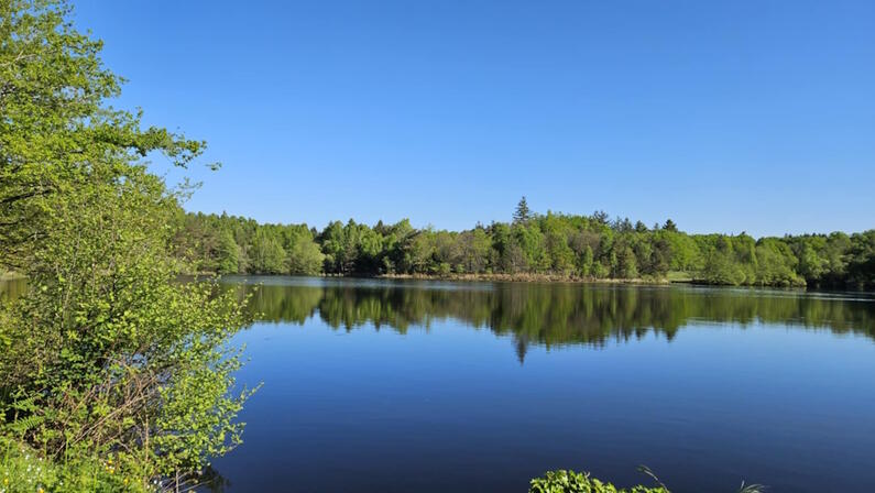 Etang-de-Montfreboeuf-4---Sirtaqui-2.jpg