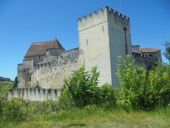 chateau-de-Grignols-16b6e5cb5869422da18848d2d22417e5.JPG