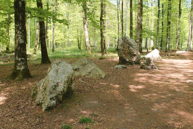 cordon-druides-foret-fougeres-2015--5--2.JPG
