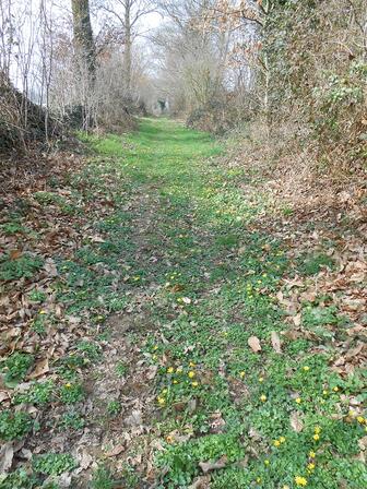 PR-67-chemin-villeneuve.jpg