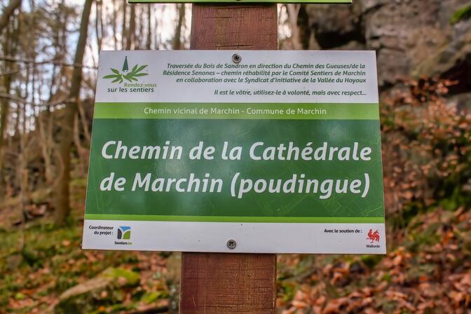 Panneau forestier web (c) Houbart 2024.jpg