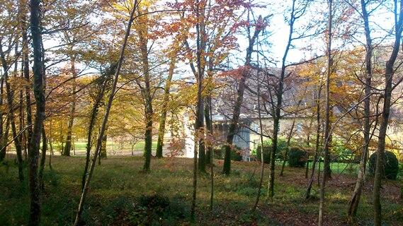 Chateau-de-peyraux.jpg