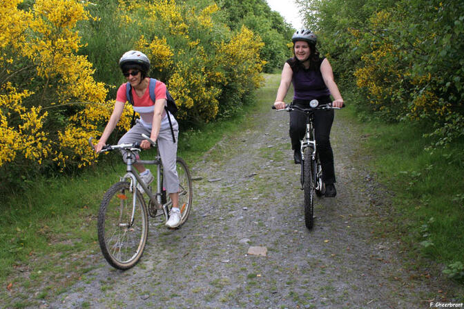 RANDOBRE0350004R-Circuit-VTT-La-Butte-aux-Anes-n-4--Ardoisiere-de-Sainte-Marie.jpg