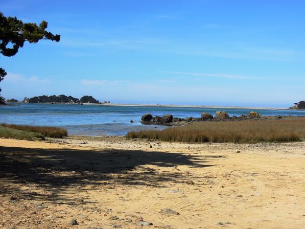 BUGUELES-ENTRE-MAREE-ET-MARAIS3-2.JPG