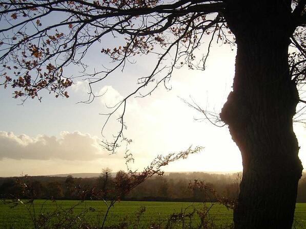 Paysage-de-la-Vaunoise-a-Pleumeleuc.jpg