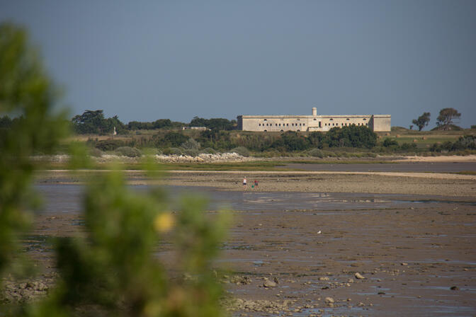 rochefort-ocean-grand-site-de-france ©S.David (1).jpg