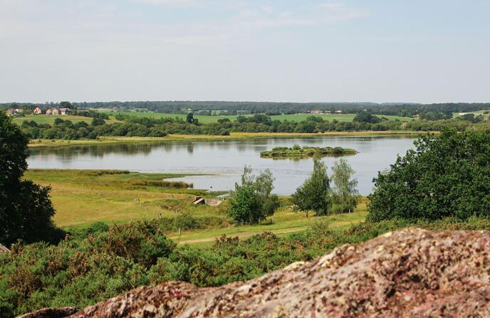 Domaine-de-Careil-Iffendic-7.JPG