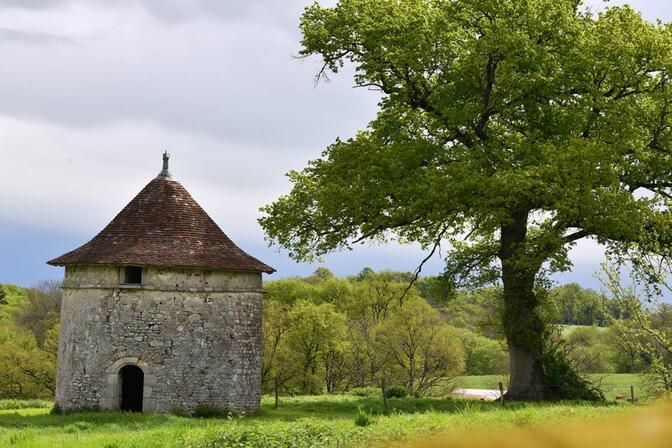 Pigeonnier-2-2.jpg