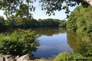 2019.-etang-de-la-garde-7-300x199.jpg