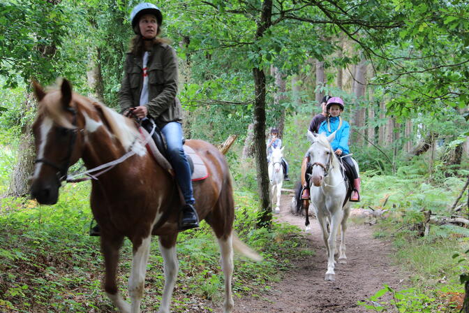 Centre-equestre-du-lac-de-Tremelin--office-de-tourisme-du-pays-de-Montfort--19--2.JPG