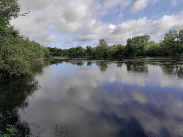 etang-21.jpg