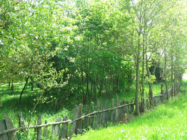 RANDOBRE0350004R-Circuit-VTT-La-Butte-aux-Anes-n-4--Palis.jpg
