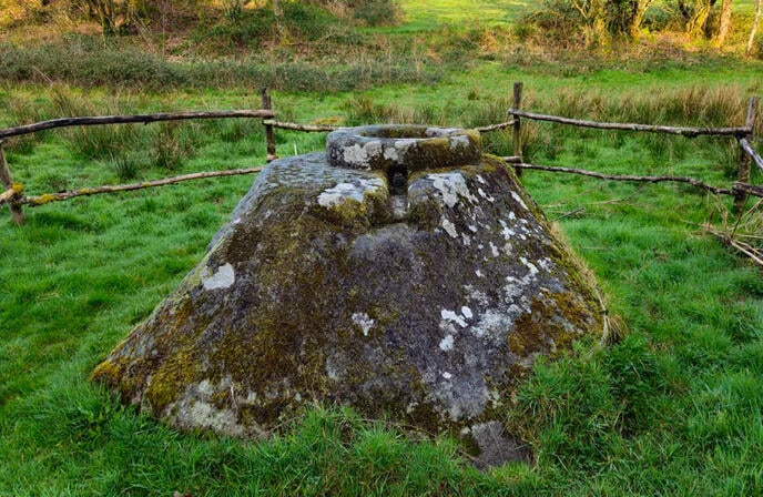 Boisseau-des-dimes-28---Sirtaqui-2.jpg