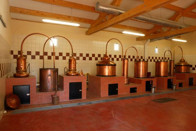 distillerie-sirtaqui--1--3.jpg