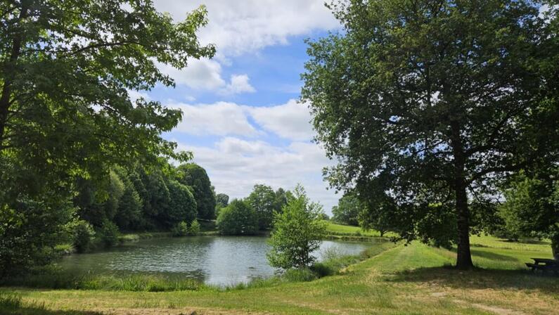 Etang-de-peche-Cognac-1---Sirtaqui.jpg
