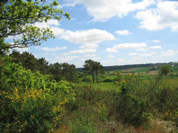 RANDOBRE0350004R-Circuit-VTT-La-Butte-aux-Anes-n-4--Point-de-vue-sur-les-Ardoisieres.jpg