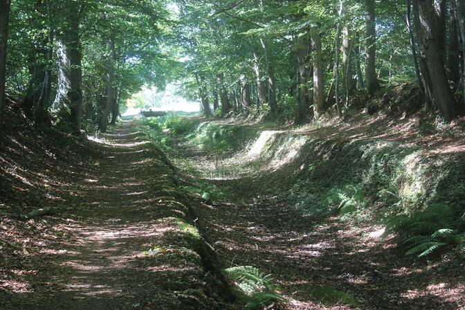 Rigole-du-Boulet.JPG