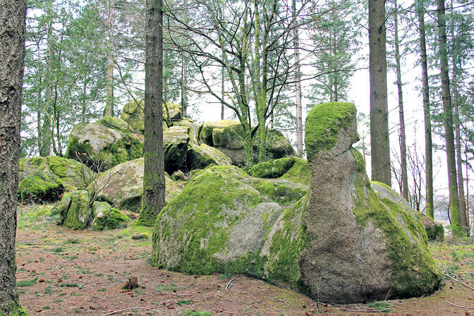 SAINT-LEGER-LA-MONTAGNE-Mazeau-Pierre-Millier-sit-4----CBC-2.jpg