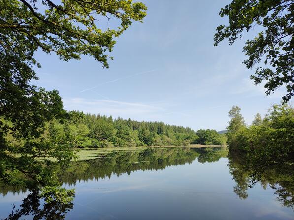 Auriat---Etang-du-ruisseau-de-la-Farge---Pays-Monts-et-Barrages---Aurelien-Clavreul.jpg