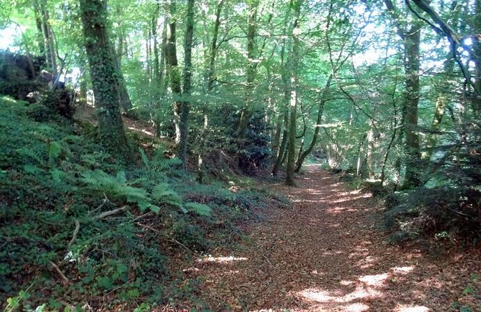 Du-haut-des-Echelles---Chemin-vers-le-ruisseau-des-Echelles.JPG