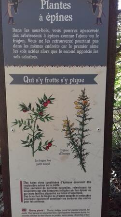 20170924-150648.jpg